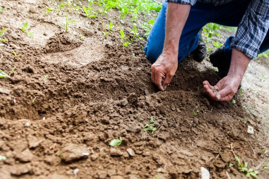 Praktikus kertrendezés gépi földmunka segítségével